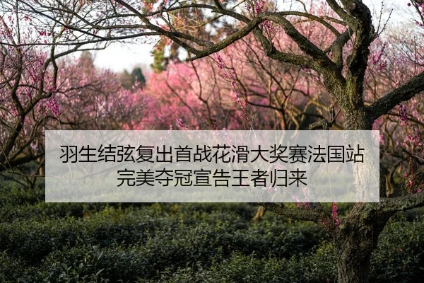 羽生结弦复出首战花滑大奖赛法国站 完美夺冠宣告王者归来