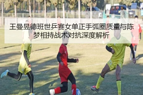 wang-man-yu-de-ban-shi-ping-sai-nv-dan-zheng-shou-hu-quan-zhi-liang-yu-chen-meng-xiang-chi-zhan-shu-dui-kang-shen-du-2-727.jpg