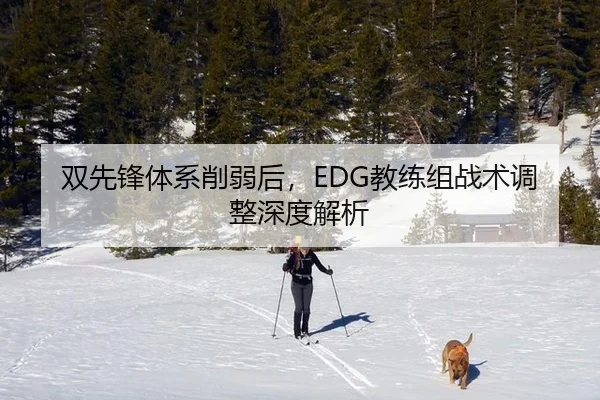双先锋体系削弱后，EDG教练组战术调整深度解析