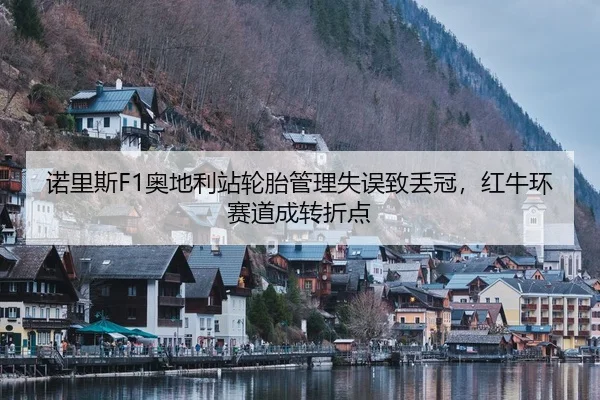 诺里斯F1奥地利站轮胎管理失误致丢冠，红牛环赛道成转折点