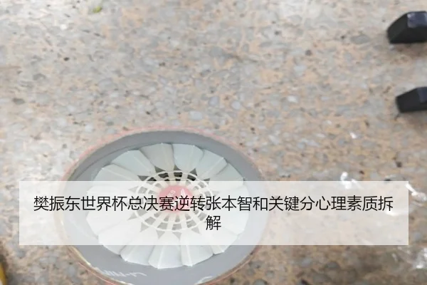 fan-zhen-dong-shi-jie-bei-zong-jue-sai-ni-zhuan-zhang-ben-zhi-he-guan-jian-fen-xin-li-su-zhi-chai-jie-2-434.jpg