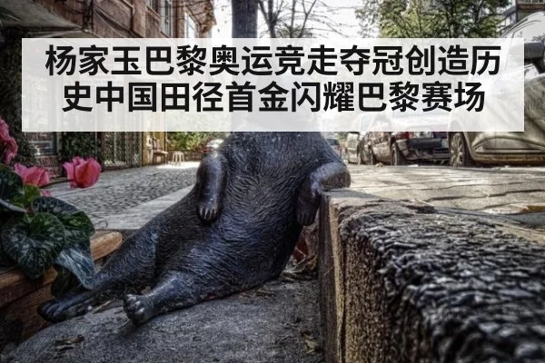 杨家玉巴黎奥运竞走夺冠创造历史中国田径首金闪耀巴黎赛场