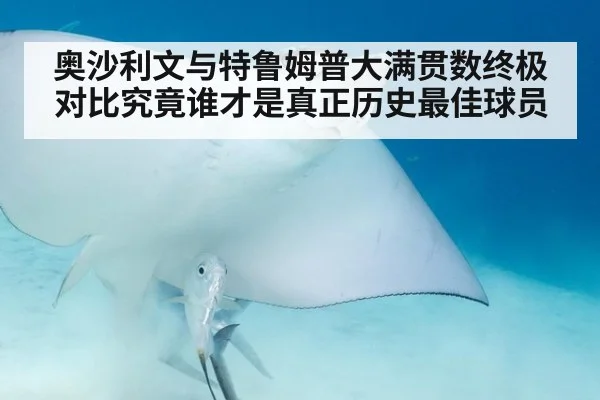 奥沙利文与特鲁姆普大满贯数终极对比究竟谁才是真正历史最佳球员